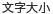 文字大小